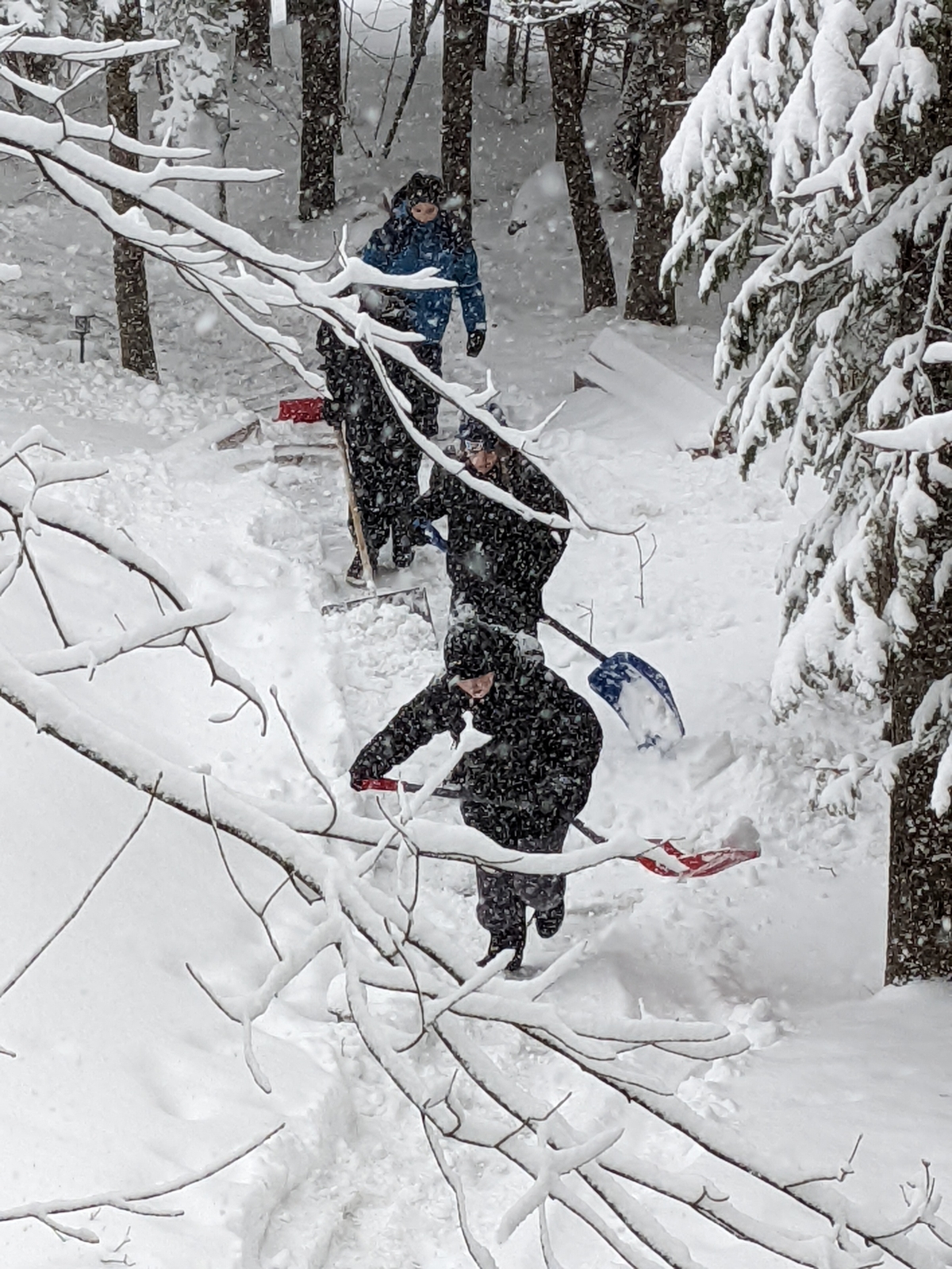 104 marches sous la neige